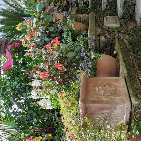 Belvilla By Oyo Casa Susanna Holiday home Verbania